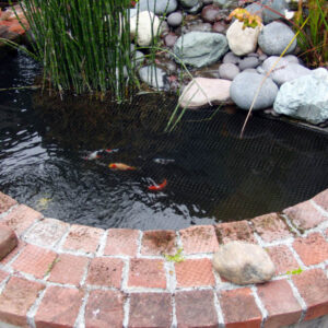 Garden Ponds
